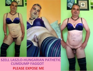 Hungarian cocksucker,cumdump faggot-SZELL LASZLO