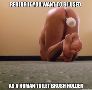 reblog if you want to be used as a human toilet brush holder