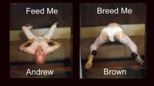 Feed me, Breed me just give me cock. Andrew Brown, Exposed Faggot