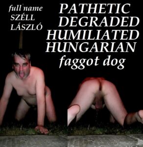 pathetic faggot dog Széll László