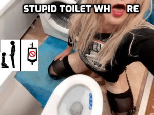 Stupid toilet whore