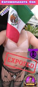 faggot mexicano property of ExposedFaggots.com