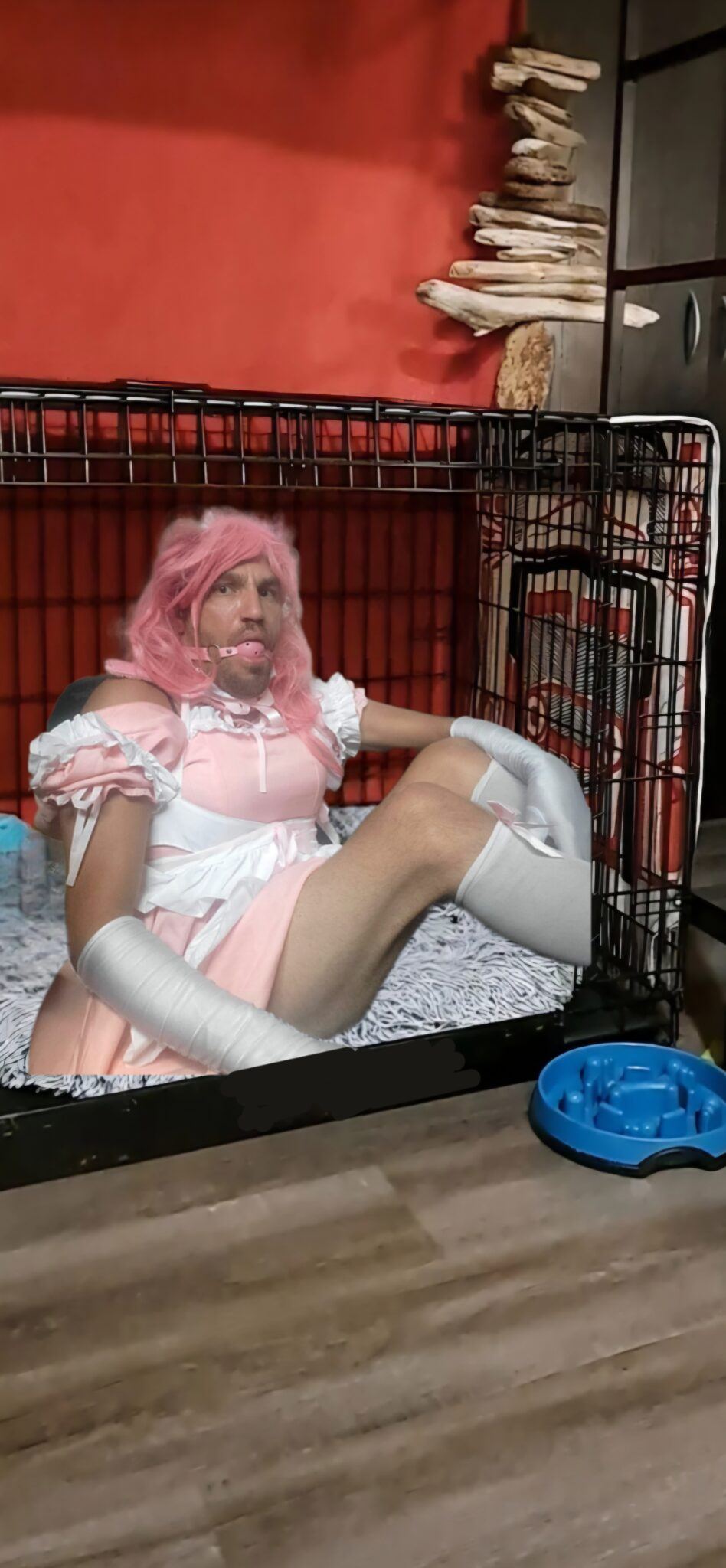 Caged Sissy Fag Exposedfaggots Comsexiezpix Web Porn 