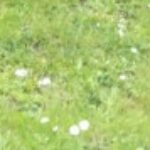 Profile picture of Maxime