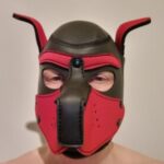 Profile picture of Maxime