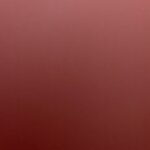 Profile picture of Brendan Rego