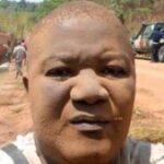 Profile picture of cat dumdee