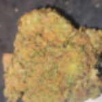 Profile picture of Thomas York