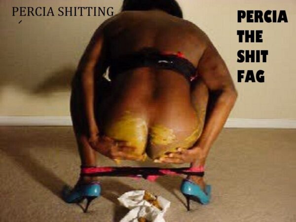 THE SHIT FAG 5