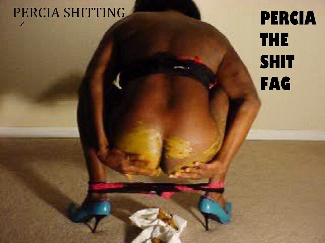 THE SHIT FAG 5