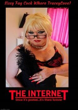 sissy-fag-traceylove-1652949356lc8p4-250×356