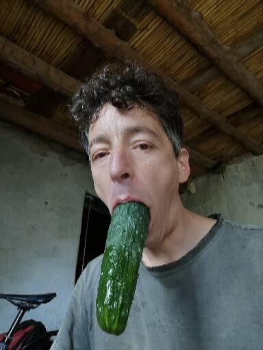 cucumber suck org