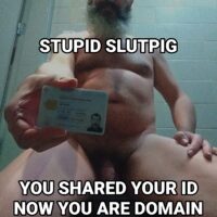 1669837428310 (1) 