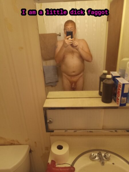 i-am-a-little-dick-faggot-284943-1