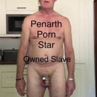 The Major’s Faggot Slave