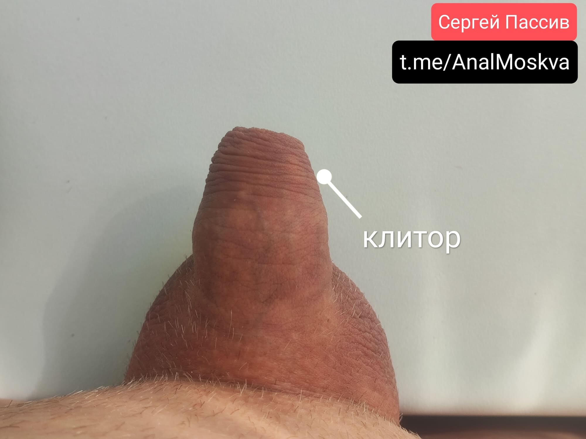 LanaTuls’s clitor size