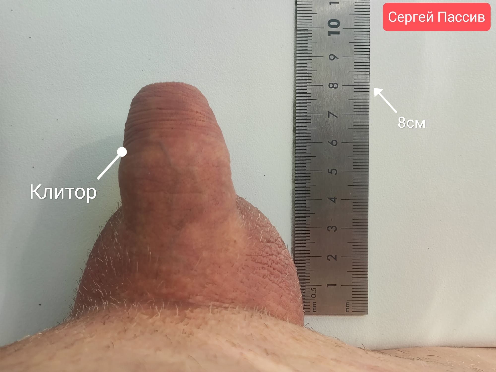 LanaTuls’s clitor size