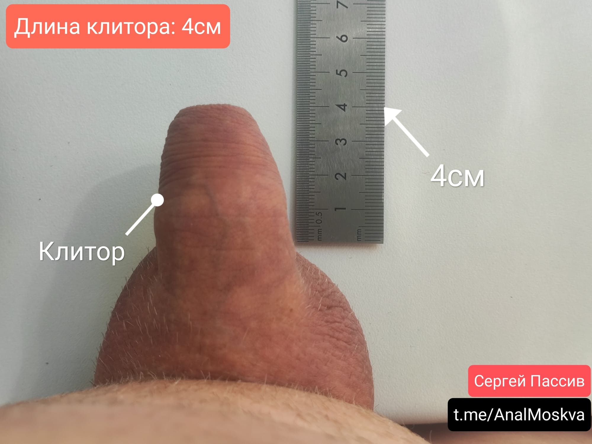 LanaTuls’s clitor size
