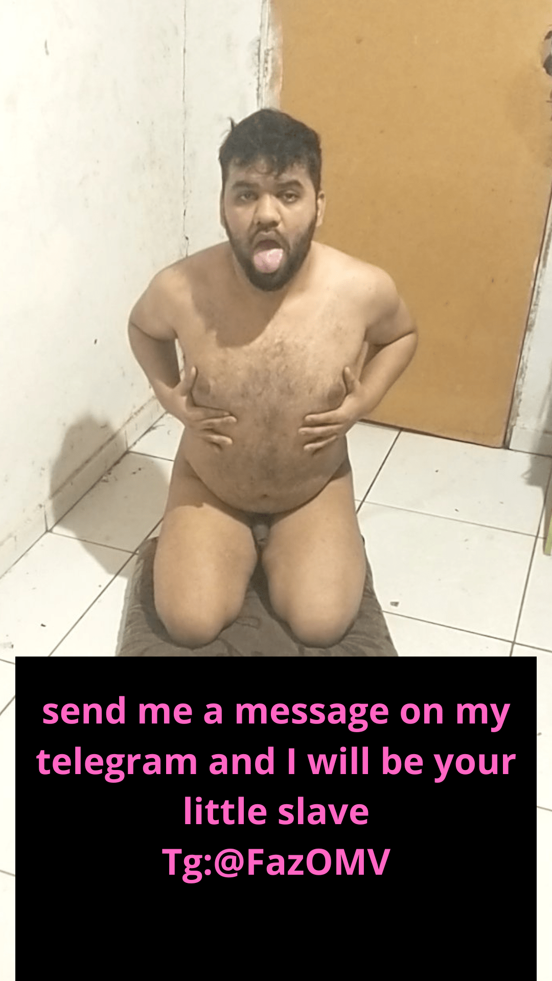 Telegram @free_brasil