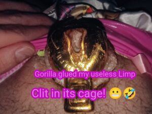 clit-in-its-cage-f09f98acf09fa4a3-gorilla-glued-my-useless-limp-348908-300×225