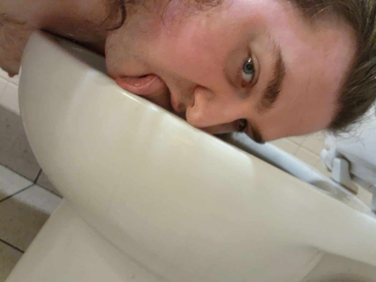 Licking Toilet