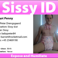 penny-id3 