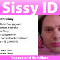 penny-id4 