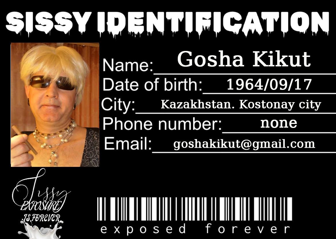 SiSSy Identification-GoshaKikut-002
