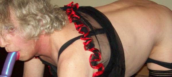 2452386p09sissytraining