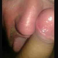 338651 