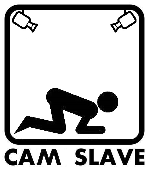 Camslave