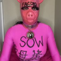 DaisyFToy – Fagpig sow 11 