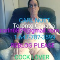 1652792241pcl84-250×333 (1) 
